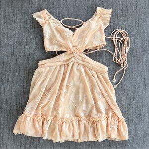 Lucy in the Sky Blush Floral Dress